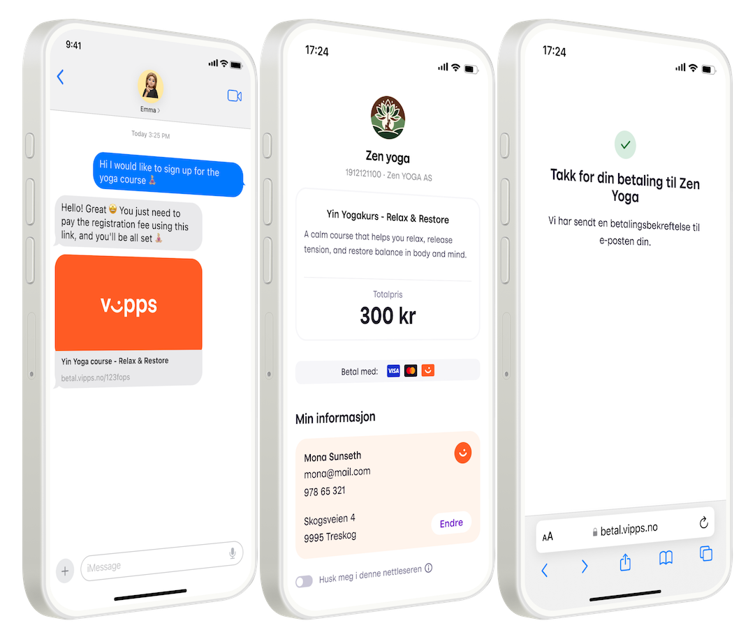 Payment link screens showing the customer checkout experience